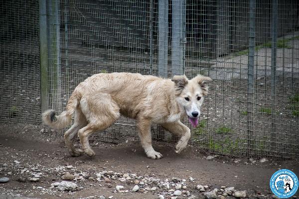 Asia, Astro, Aria: tre fratelli timidi e dolcissimi Foto 5